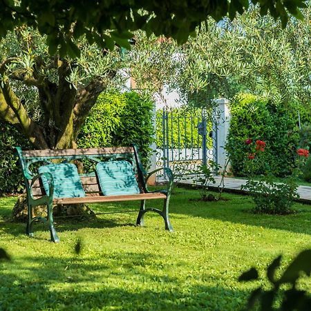 B&B Carmela Umag Eksteriør billede