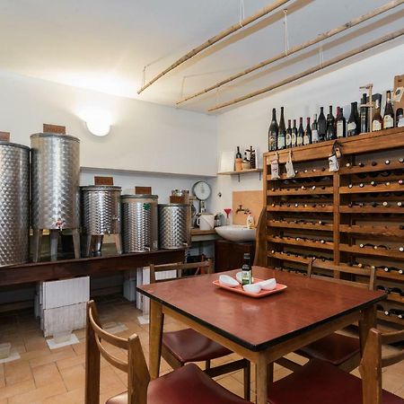 B&B Carmela Umag Eksteriør billede