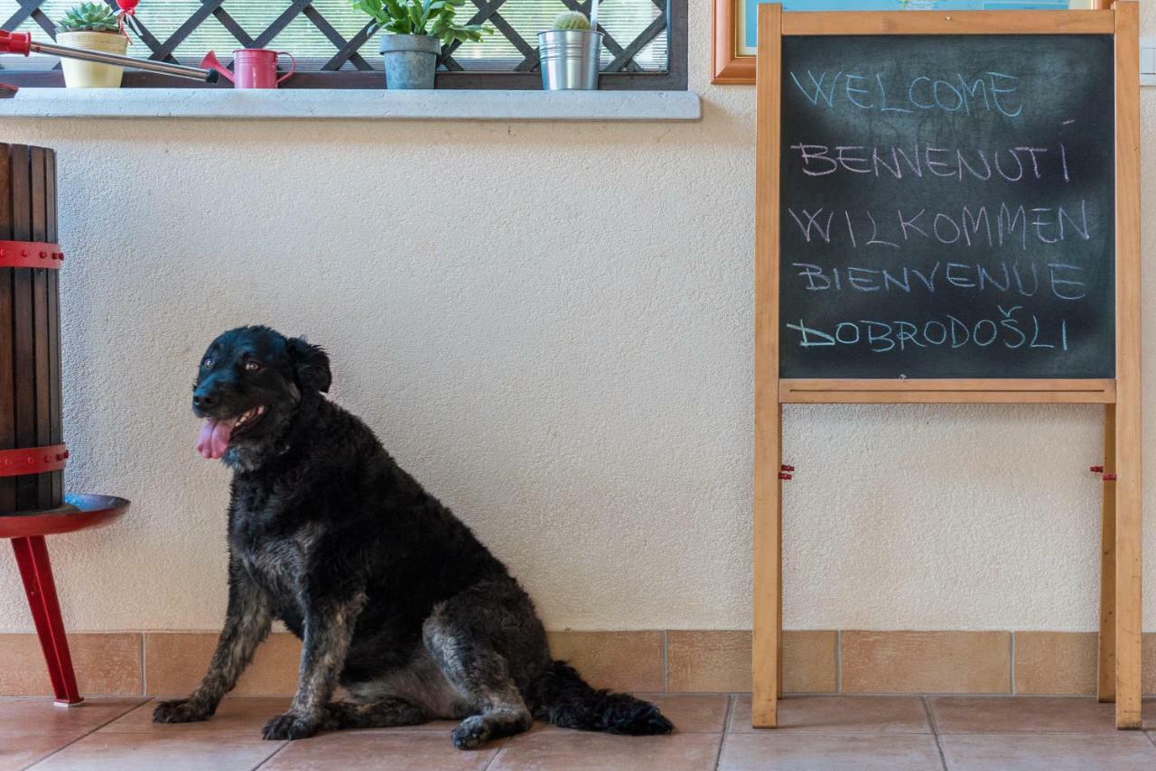 B&B Carmela Umag Eksteriør billede