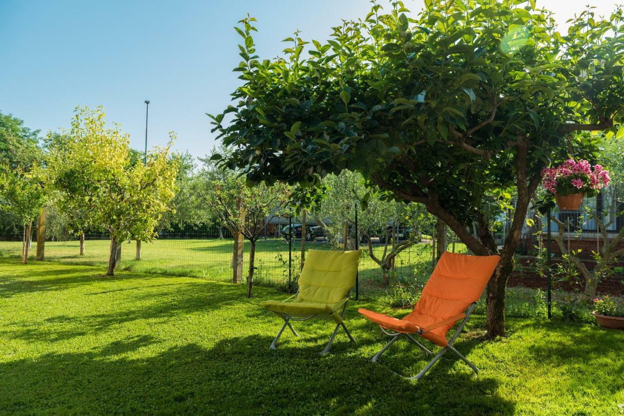 B&B Carmela Umag Eksteriør billede