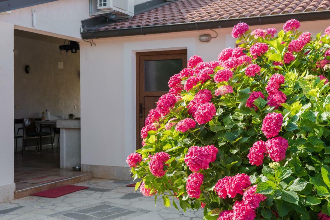 B&B Carmela Umag Eksteriør billede