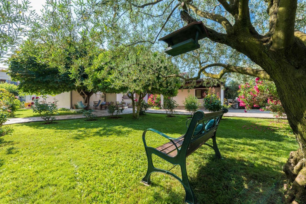 B&B Carmela Umag Eksteriør billede