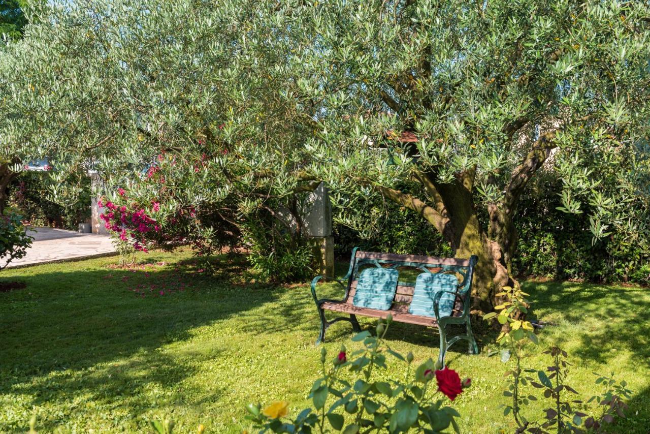 B&B Carmela Umag Eksteriør billede